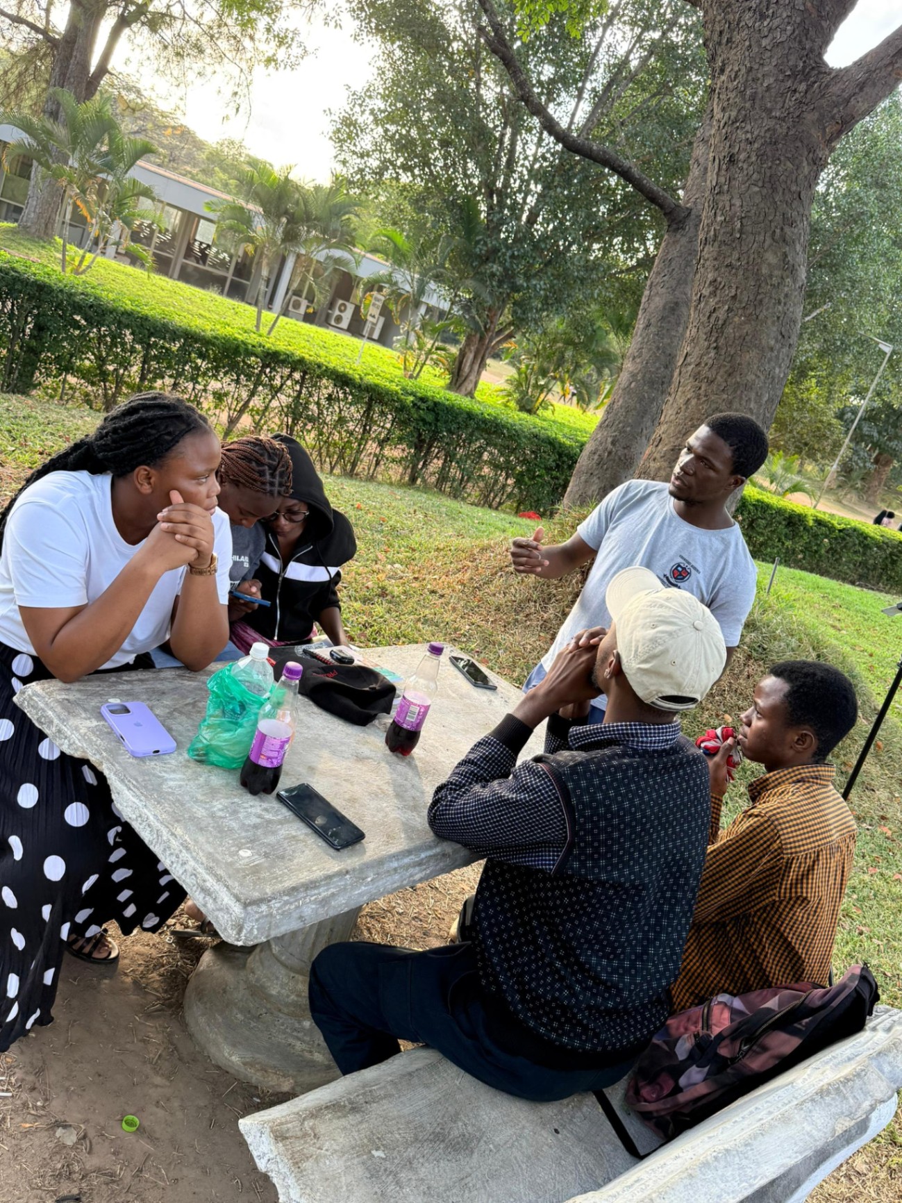 Members in an open-air discussion around a stone table